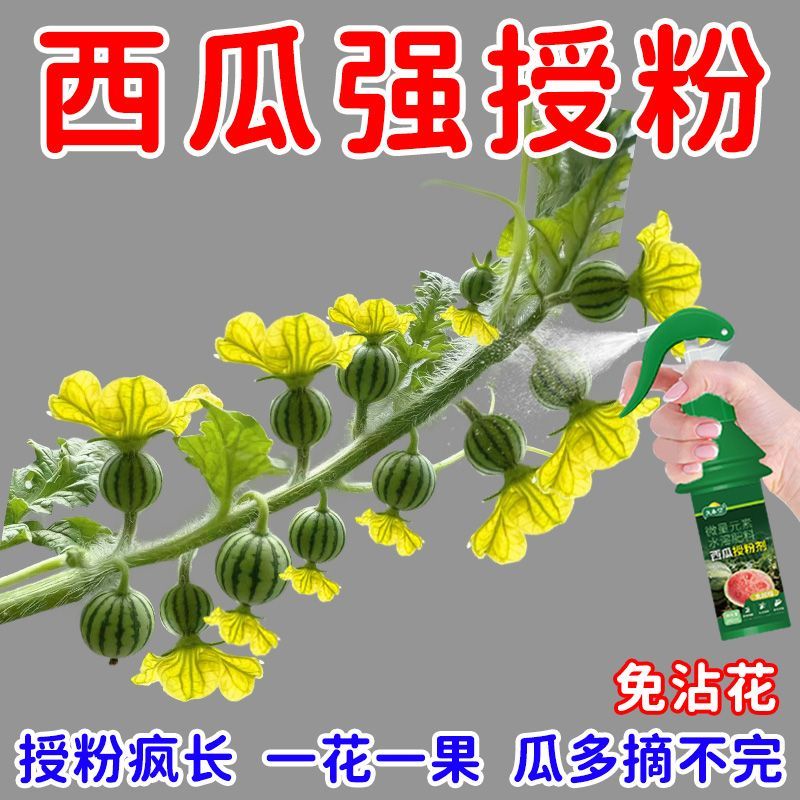 西瓜授粉剂点花免沾花授粉坐果精保花保果素防落防畸叶面肥