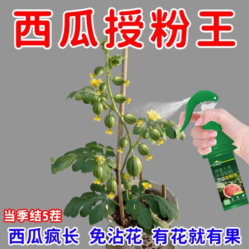授粉王西瓜授粉专用药坐瓜灵膨大增甜西瓜专用肥料营养液水溶肥