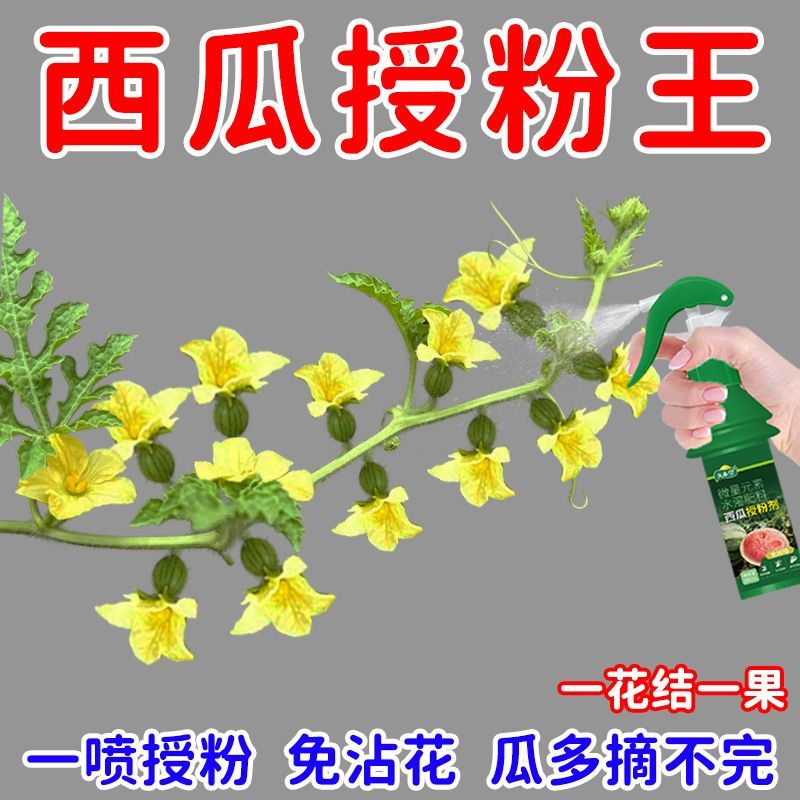 西瓜授粉剂点花免沾花授粉坐果精保花保果素防落防畸叶面肥 图片 2
