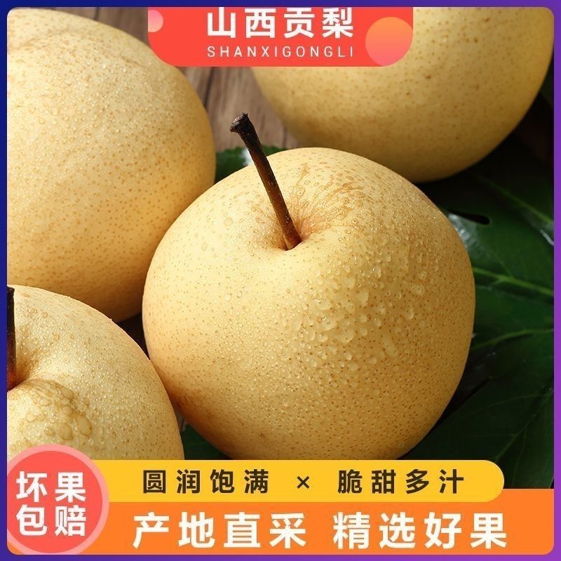 【山西贡梨】酥梨薄皮肉多汁甜水果可口冰糖雪梨酥梨纯甜非砀山梨 图片 2