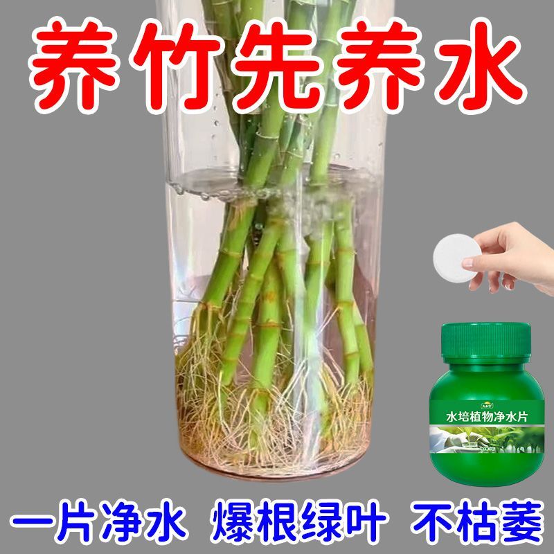 水培植物净水片改善臭水浑水护根生长水培植物花卉碗莲富贵竹通用