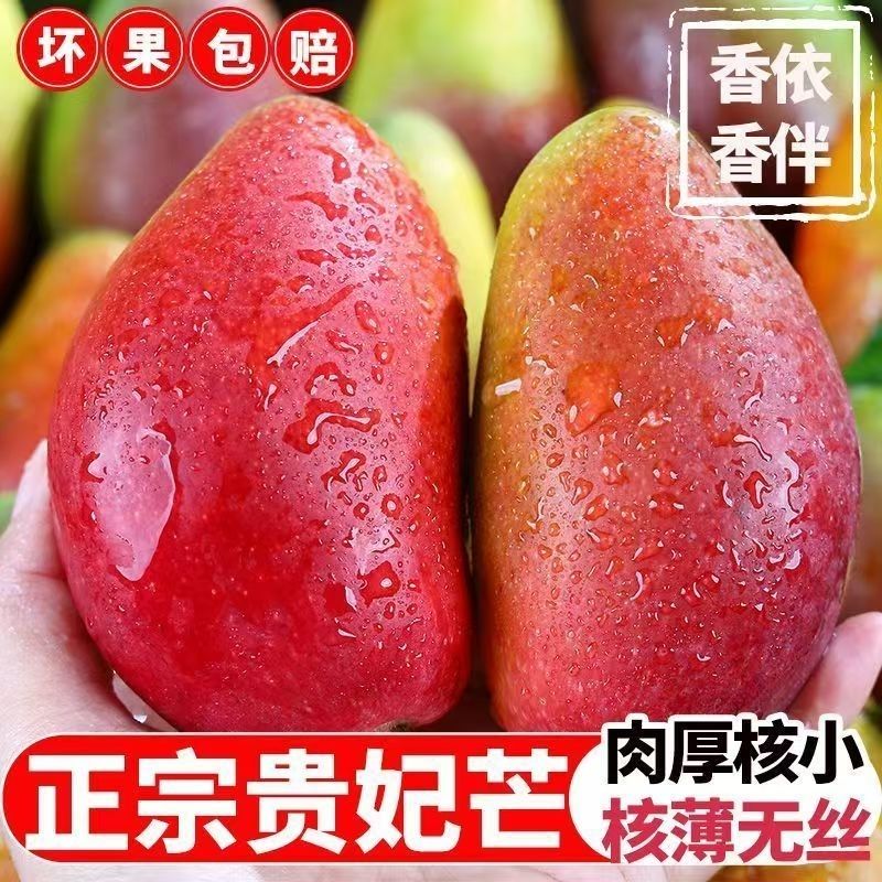 【爆甜】百色贵妃芒果大果应季新鲜水果当季薄皮甜心芒红金龙批发 图片 3