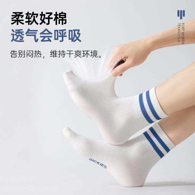 Dickies正品袜子男款夏季薄款吸汗防臭青少年男大童条纹运动棉袜 图片 6