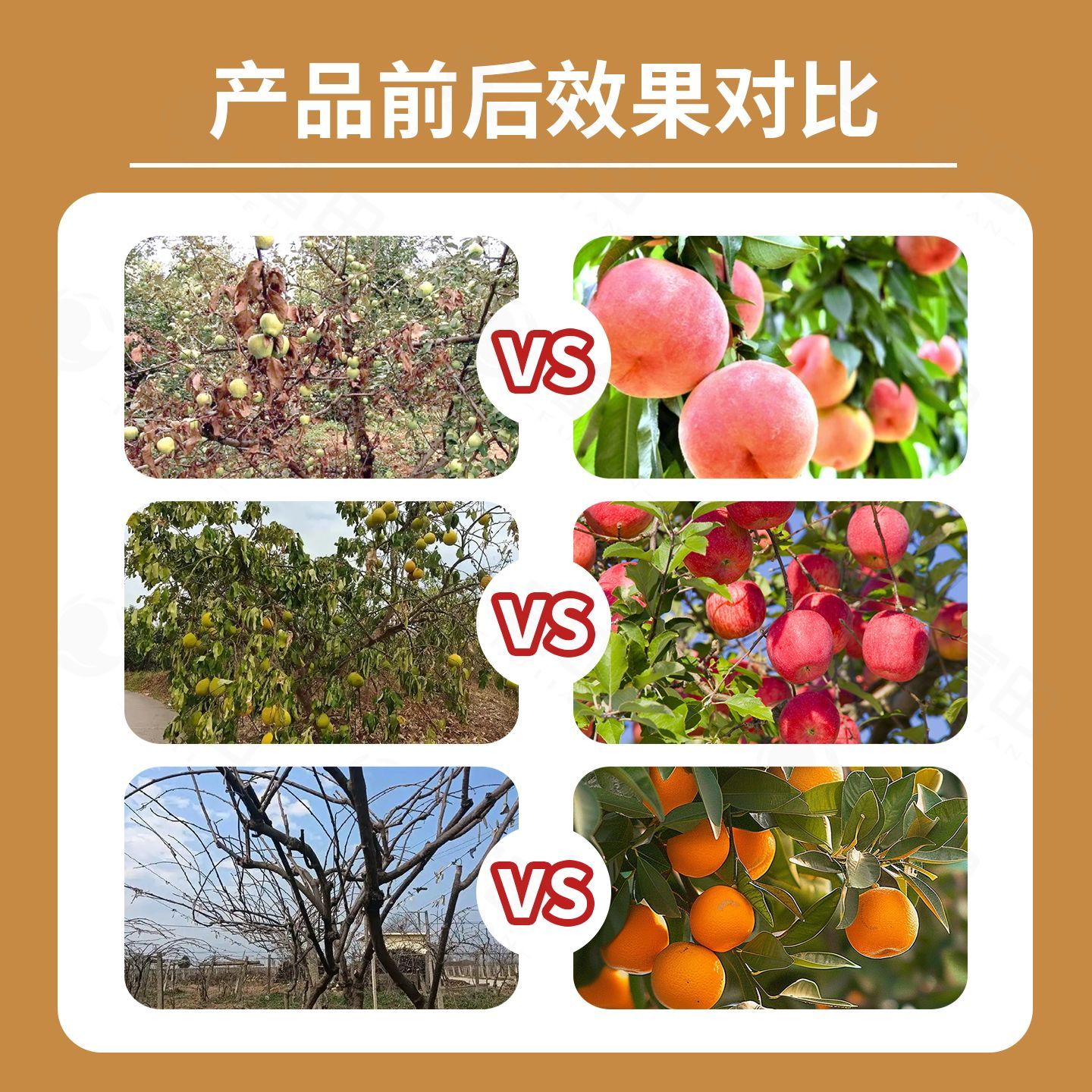 富田果树膨大宝果树种植专用防裂防落果实膨大着色增甜水溶肥料 图片 4
