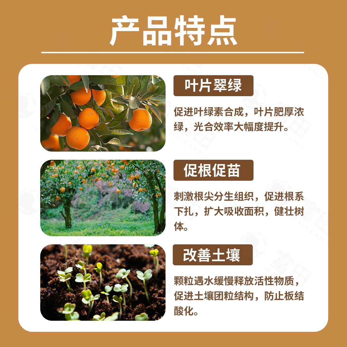 富田果树膨大宝果树种植专用防裂防落果实膨大着色增甜水溶肥料 图片 3