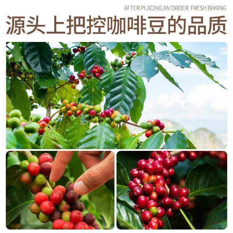 云南咖啡豆中深度烘焙阿拉比卡豆意式手冲现磨黑咖啡粉商用油脂王 图 4