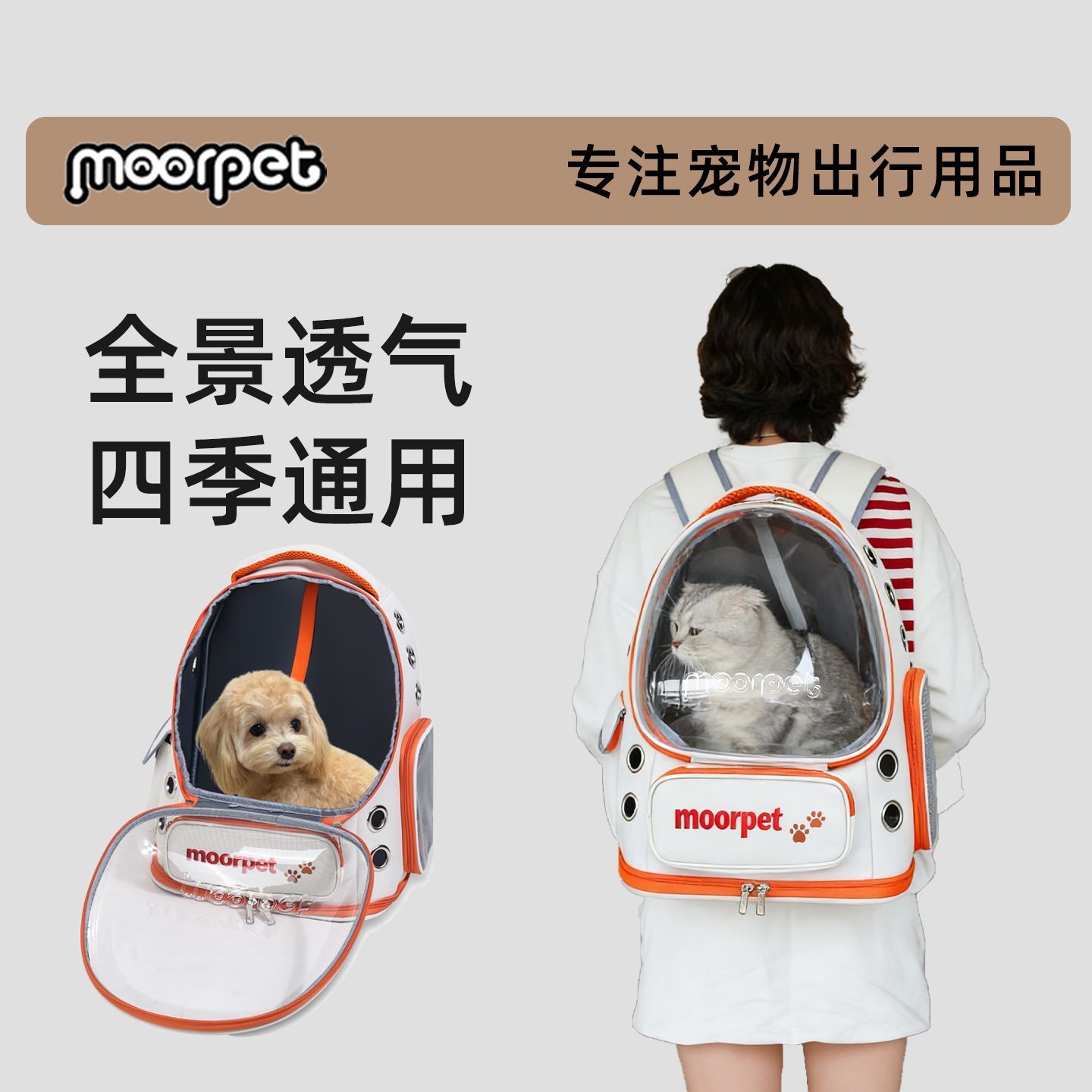猫包外出双肩宠物透气空间便携太空舱背包狗包手提出行小体型犬包