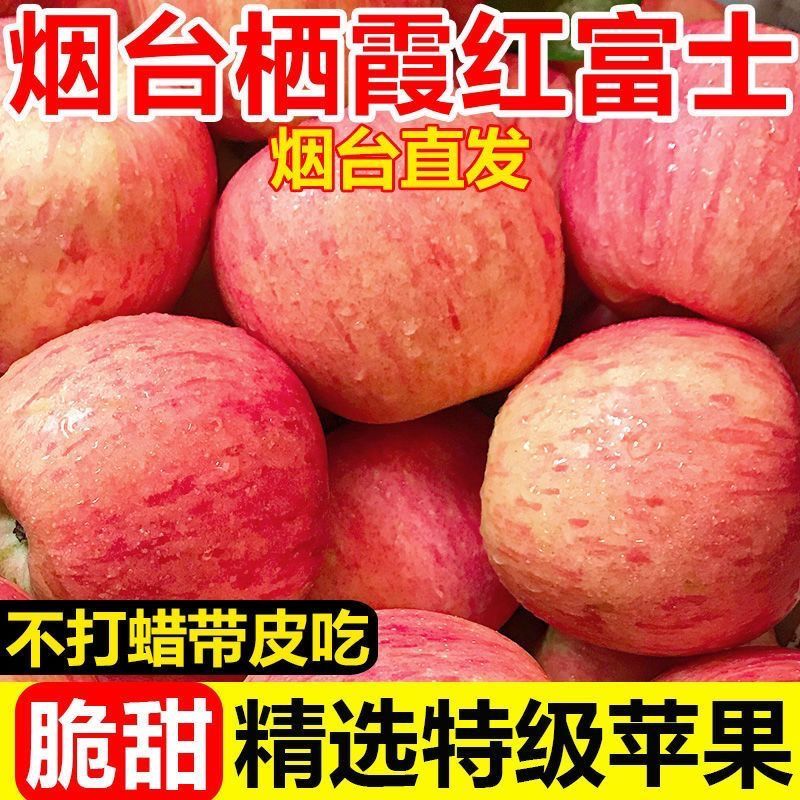 【泡沫箱】特级正宗烟台红富士栖霞苹果新鲜苹果脆甜10斤批发 图片 10