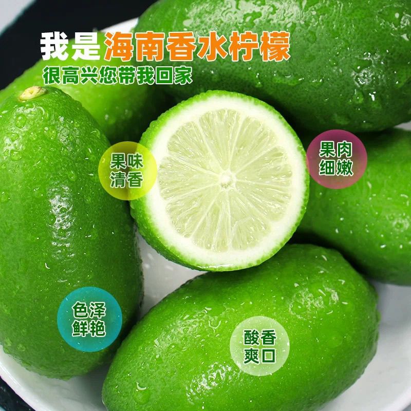 海南无籽香水柠檬新鲜正宗青柠檬奶茶店专用当季大果暴打柠檬批发 图片 7