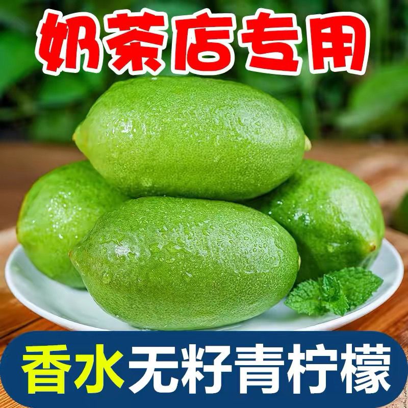 海南无籽香水柠檬新鲜正宗青柠檬奶茶店专用当季大果暴打柠檬批发 图片 10