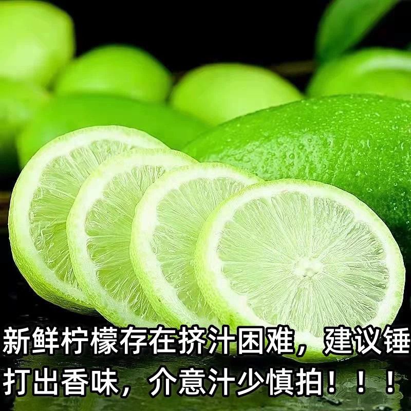 海南无籽香水柠檬新鲜正宗青柠檬奶茶店专用当季大果暴打柠檬批发 图片 8