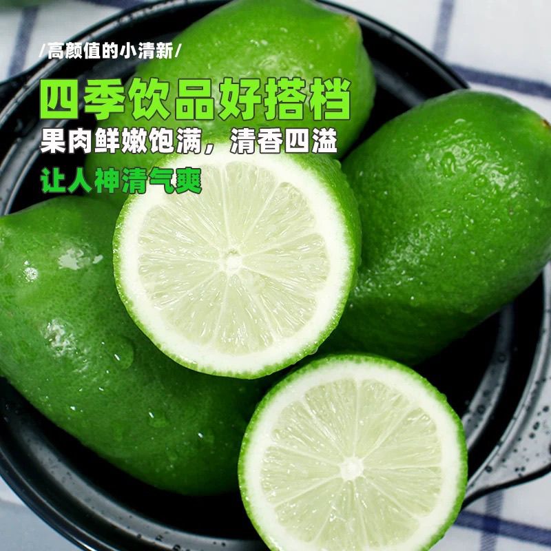 海南无籽香水柠檬新鲜正宗青柠檬奶茶店专用当季大果暴打柠檬批发 图片 5
