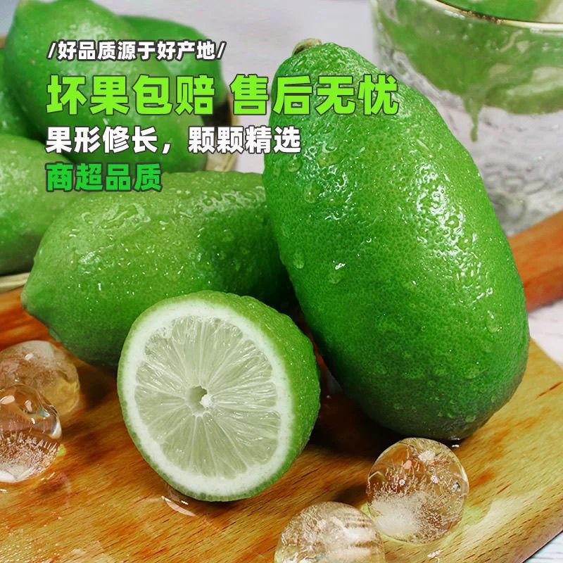 海南无籽香水柠檬新鲜正宗青柠檬奶茶店专用当季大果暴打柠檬批发 图片 6