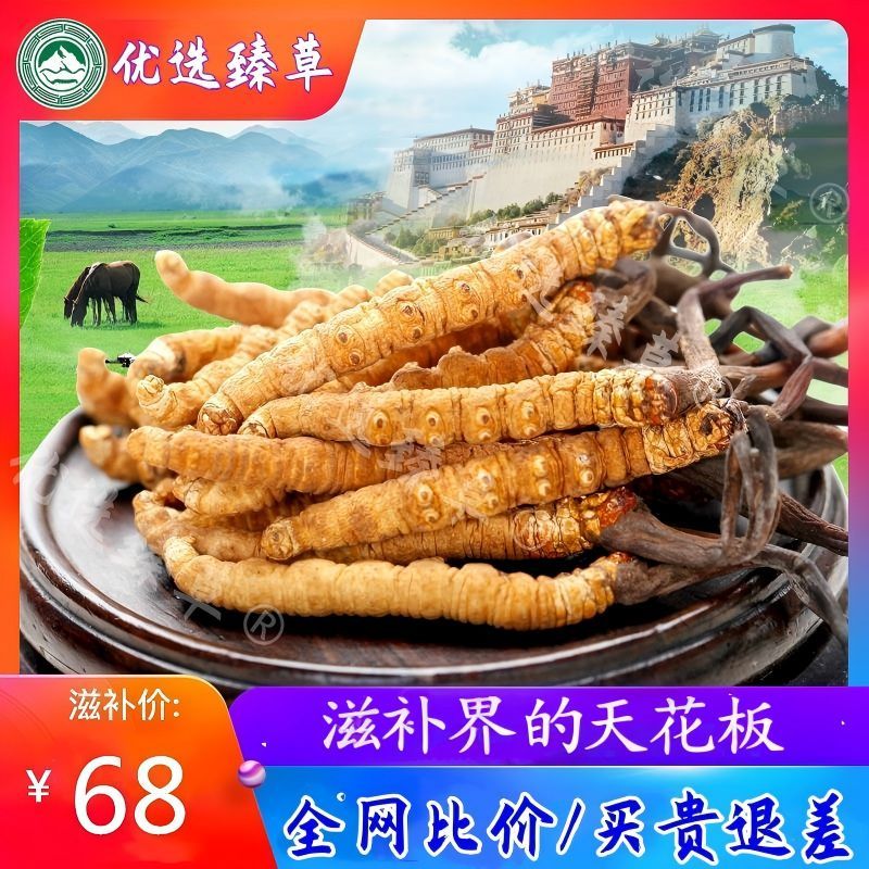 虫草干货正品冬虫中秋春节年货礼盒特产四川西藏那曲青海玉树草