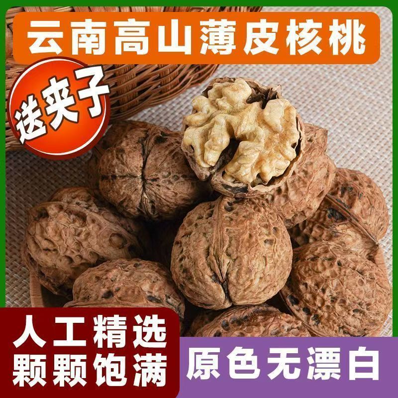 云南核桃云南薄壳薄皮核桃原味高山核桃古树核桃薄皮肉厚无漂白 图片 2