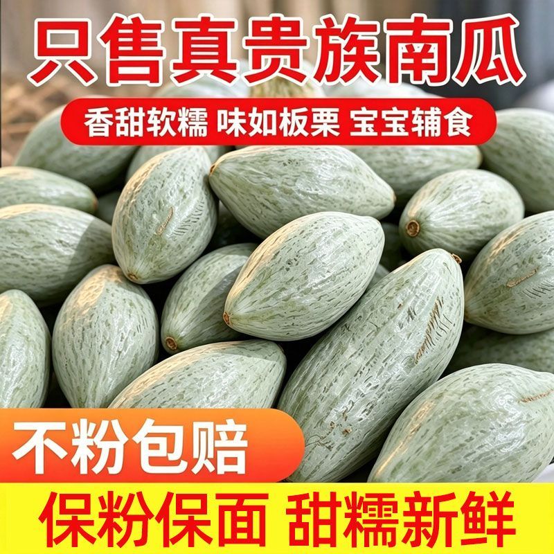 正宗新疆贵族南瓜新鲜金丝贝贝板栗沙漠宝宝银栗辅食香甜直发甜糯