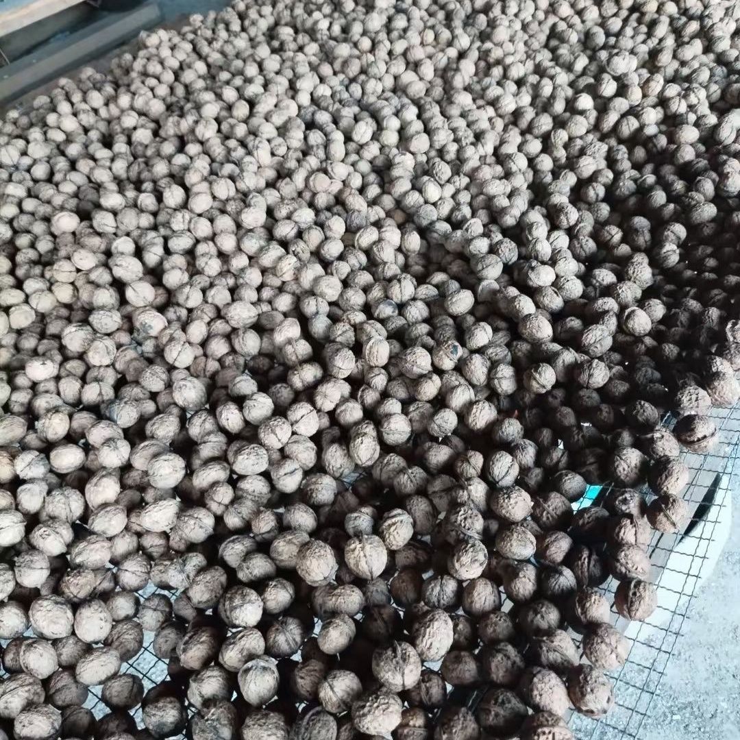 云南核桃云南薄壳薄皮核桃原味高山核桃古树核桃薄皮肉厚无漂白 图片 10