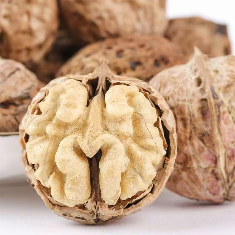 云南核桃云南薄壳薄皮核桃原味高山核桃古树核桃薄皮肉厚无漂白 图片 9