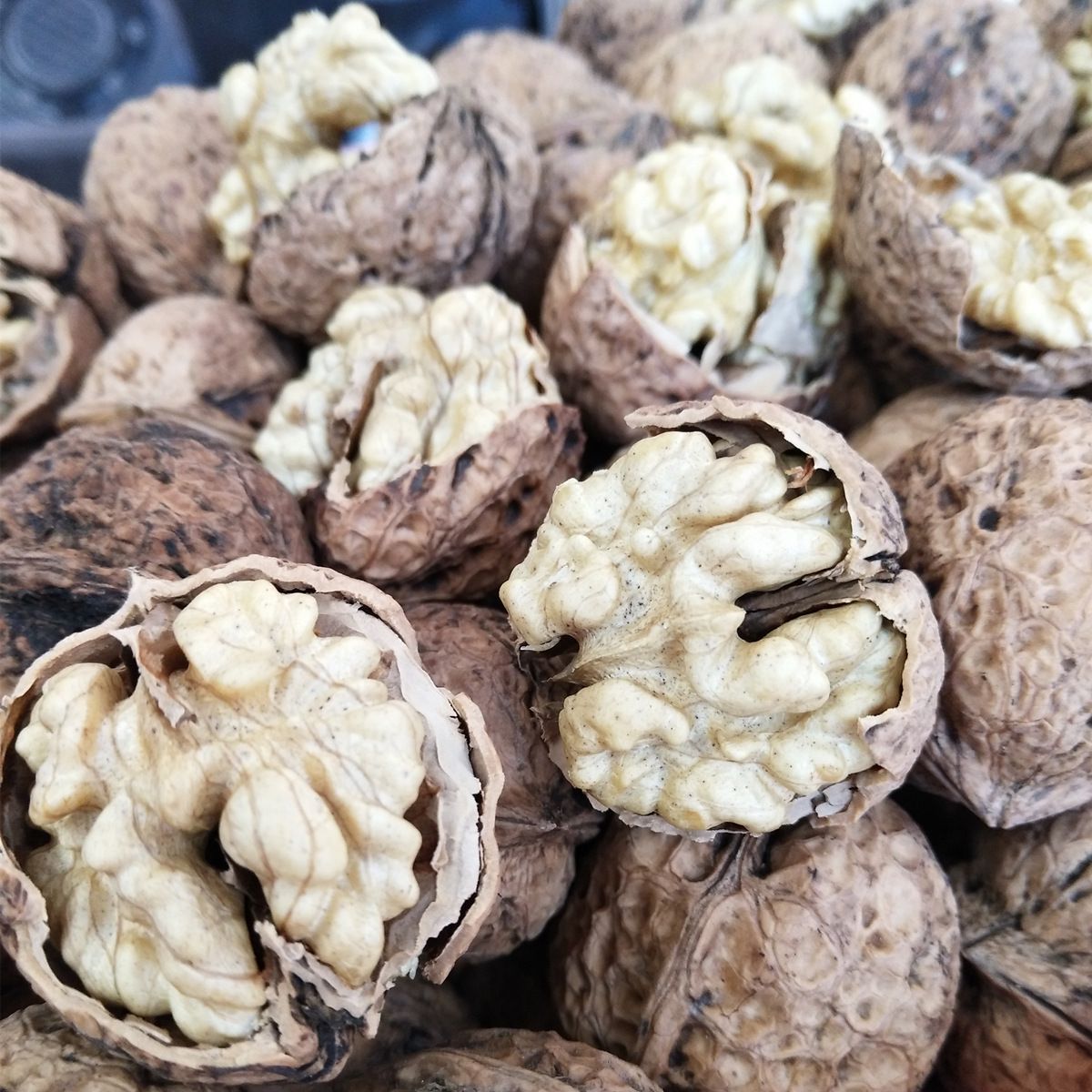 云南新货散装薄皮核桃孕妇儿童零食坚果薄壳云南核桃薄皮核桃皮薄 图片 10