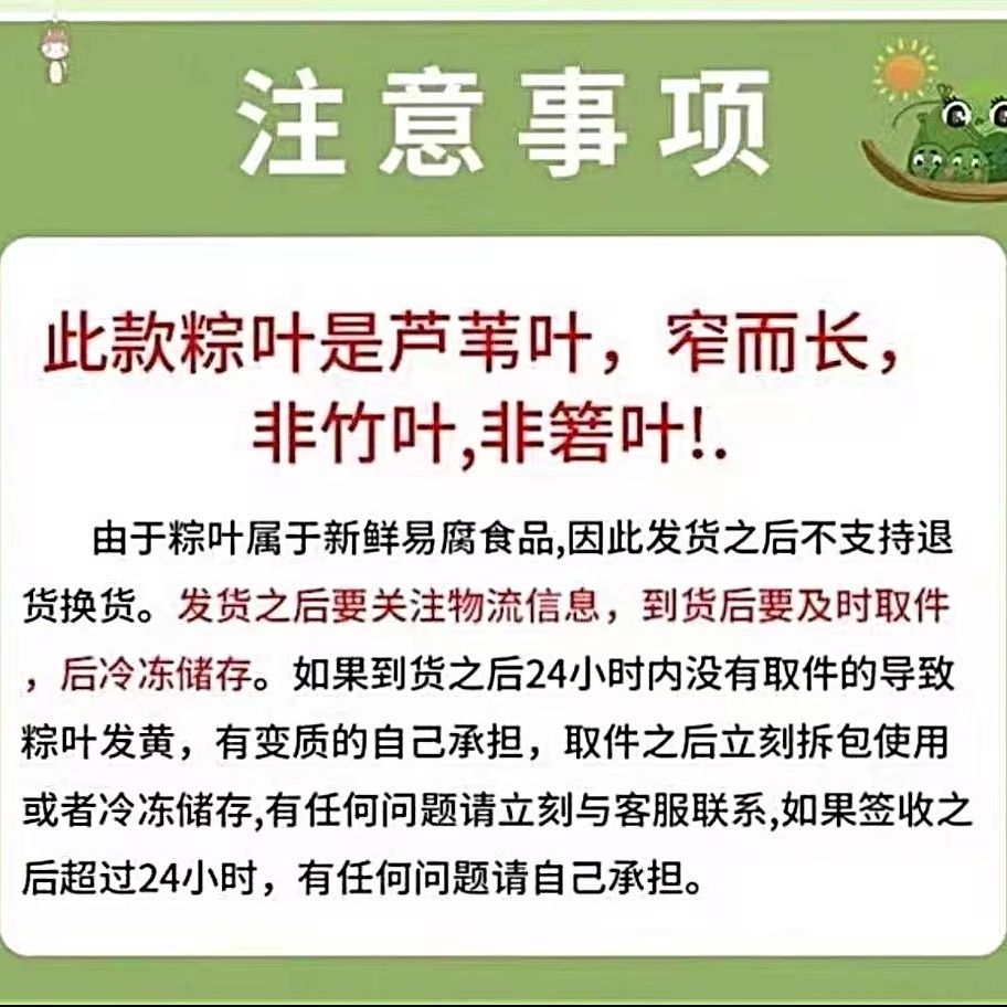 正宗新鲜芦苇叶 端午节包粽子 野生精品大粽叶 图片 4