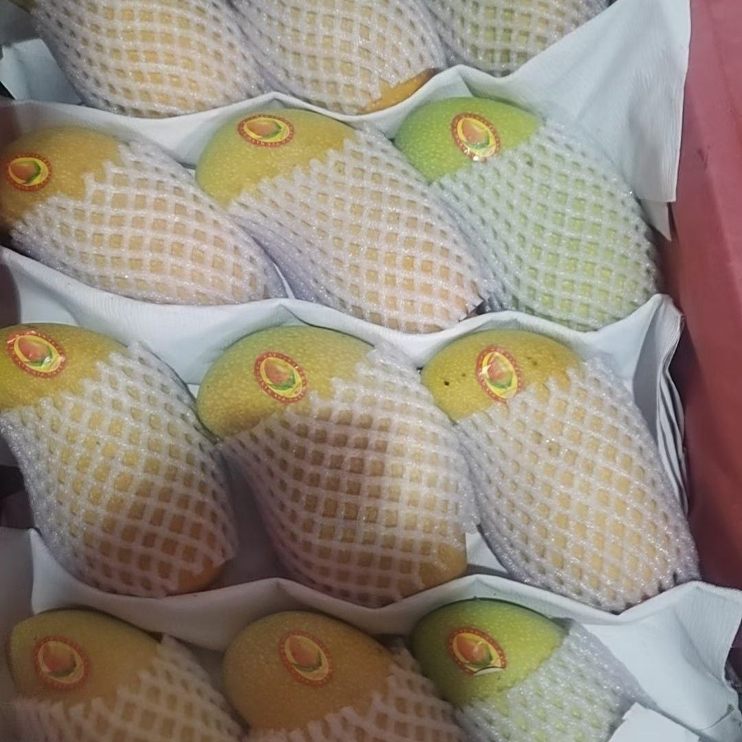 海南芒果正宗金煌芒芒果应季新鲜水果当季皮薄黄皮整箱海南直发