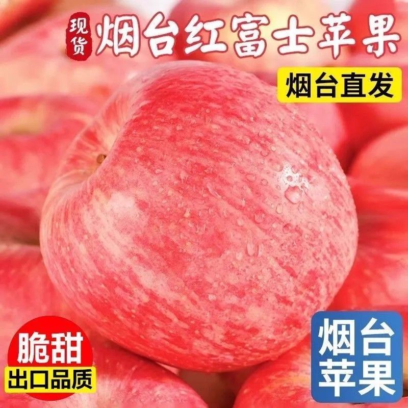 泡沫箱特级正宗烟台红富士栖霞苹果新鲜苹果脆甜10斤批发
