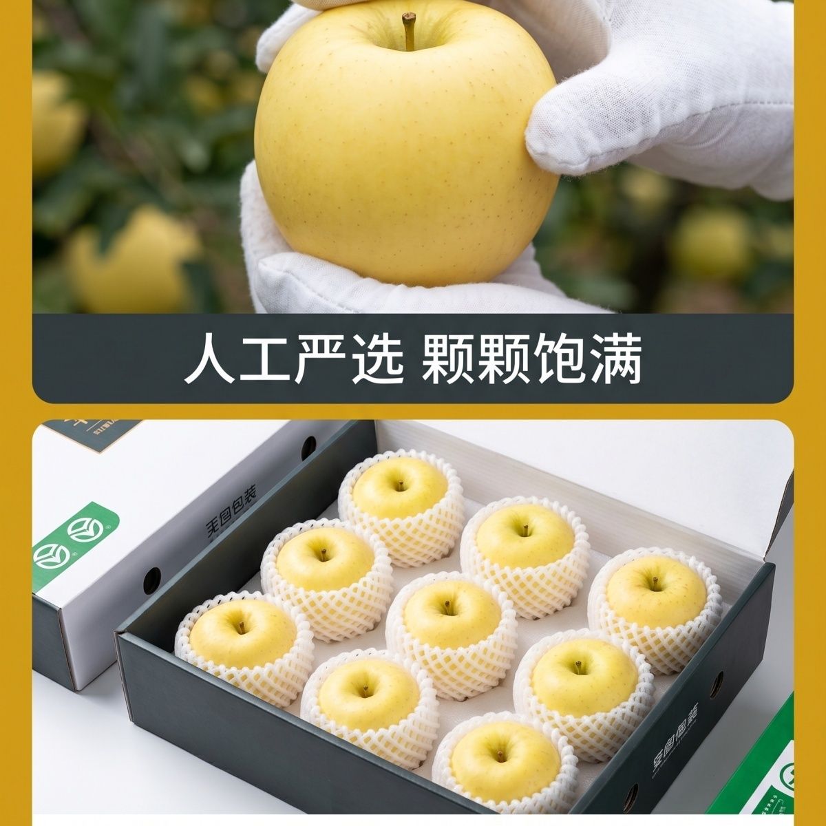 辽宁黄元帅苹果 酸甜脆水果 现摘黄金帅 果园直发粉面微酸黄香蕉 图片 3