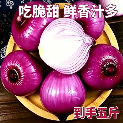 精选紫皮洋葱现挖脆甜多汁少辣不呛眼皮薄肉厚炒菜凉拌营养美味