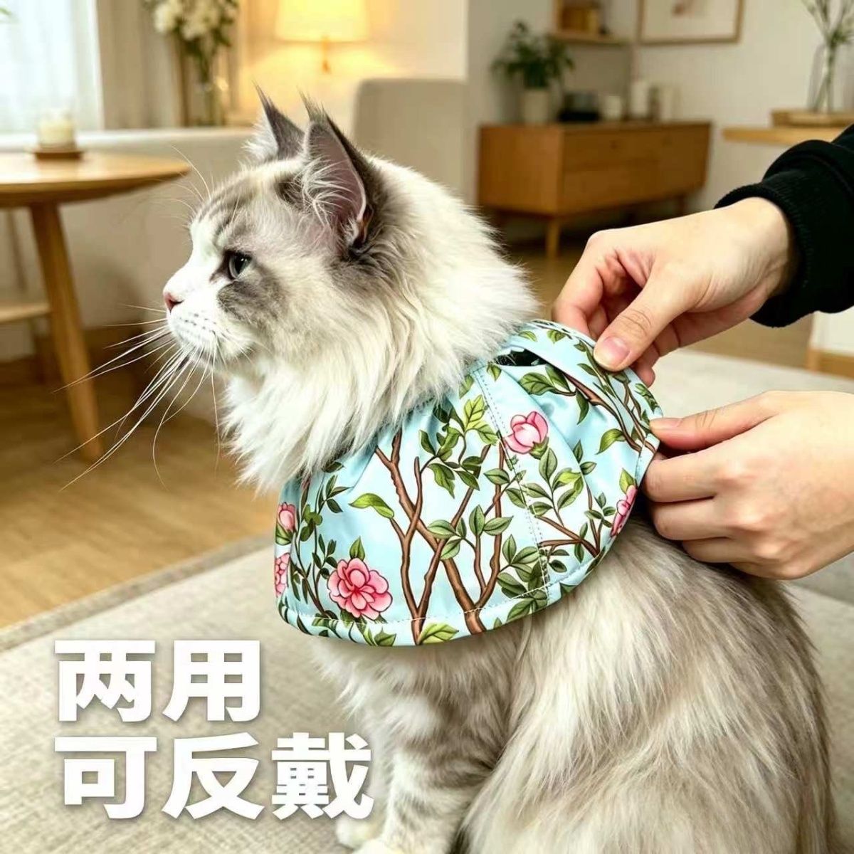 可爱伊丽莎白圈猫咪防水围脖头套个性 绝育防舔 可爱项圈饰品柔软 图片 2