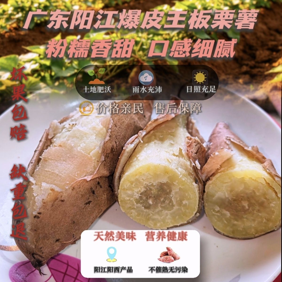 H2爆粉板栗薯新鲜爆皮干面正宗爆皮王红薯现挖现发粉糯香甜番薯