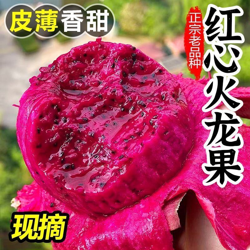 正宗金都一号红心火龙果超甜多汁红肉应季热带新鲜水果火龙果红心