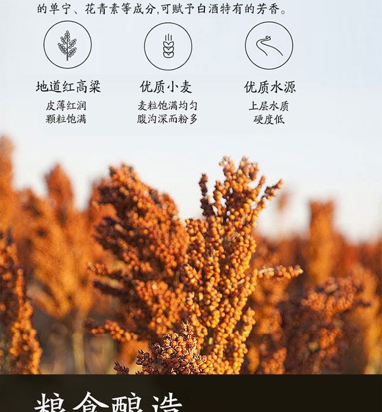 详情图13