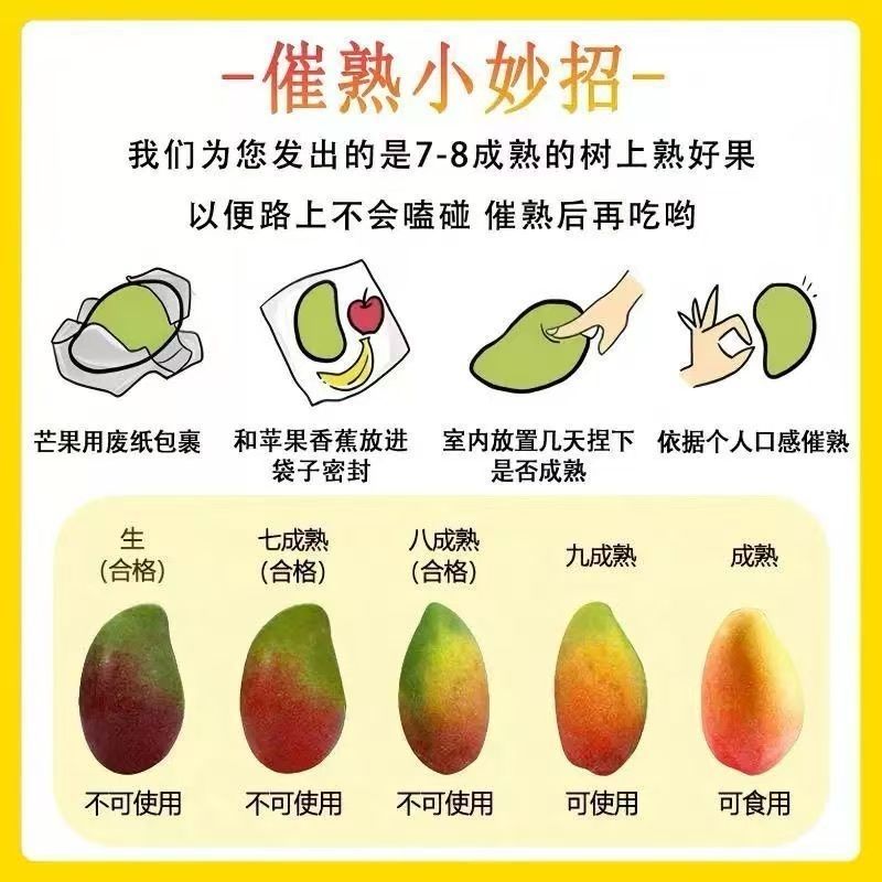 【爆甜】百色贵妃芒果大果应季新鲜水果当季薄皮甜心芒红金龙批发 图片 2