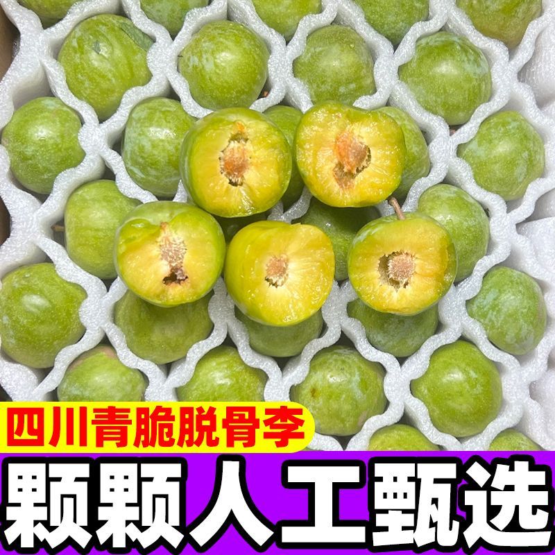 正宗脱骨李青脆李四川汶川空心巫山土李子孕妇水果蜂糖味冰糖李6月20日发完