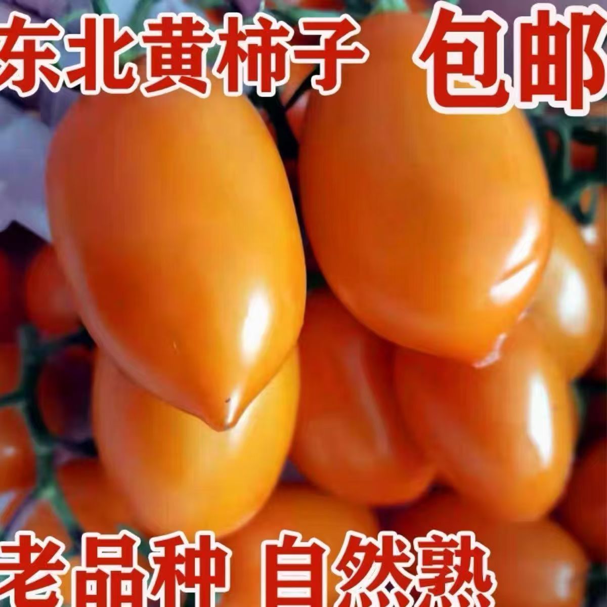 东北黄罗曼西红柿5手 💰18.91元 自然成熟果实金黄 皮薄汁多 - 线报酷