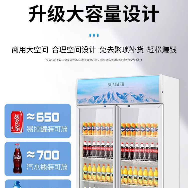 【喜兰宝】展示柜冷藏风直商用冰箱饮料啤酒超市饭便利店单双三门 图片 8