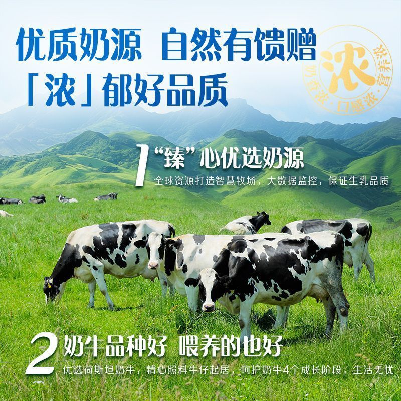 8月新货 伊利臻浓牛奶250ml*20盒学生成人营养早餐奶整箱团购特价 图 6