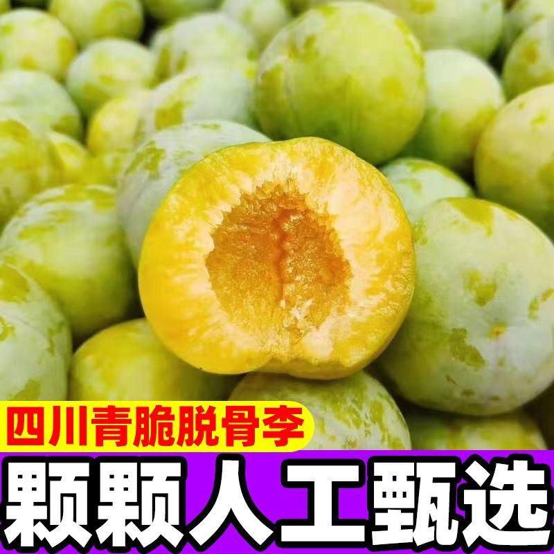 正宗脱骨李青脆李四川汶川空心巫山土李子孕妇水果蜂糖味冰糖李【6月20日发完】 图片 6