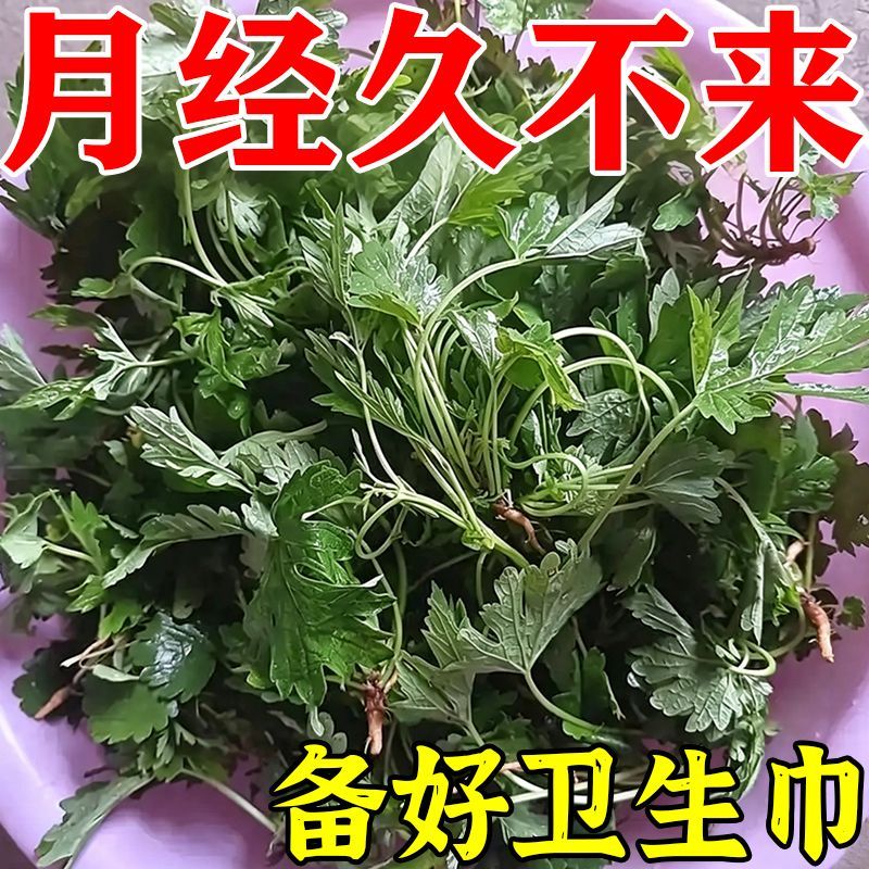 月经久不来大姨妈月经不规律量少发黑肚子疼停经闭经调理月经贴q