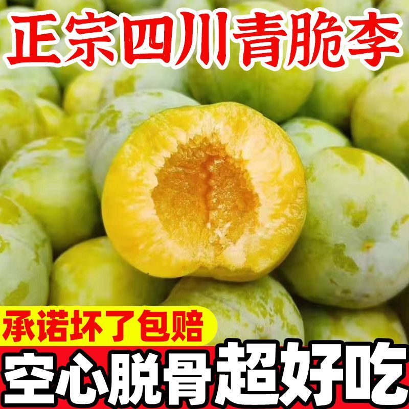 正宗脱骨李青脆李四川汶川空心巫山土李子孕妇水果蜂糖味冰糖李【6月20日发完】 图片 3