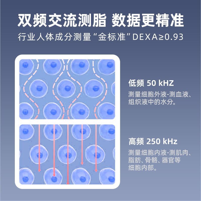 LEFU乐福光能充电智能体脂秤家用电子秤减肥专用体重秤精准宿舍秤 图片 8