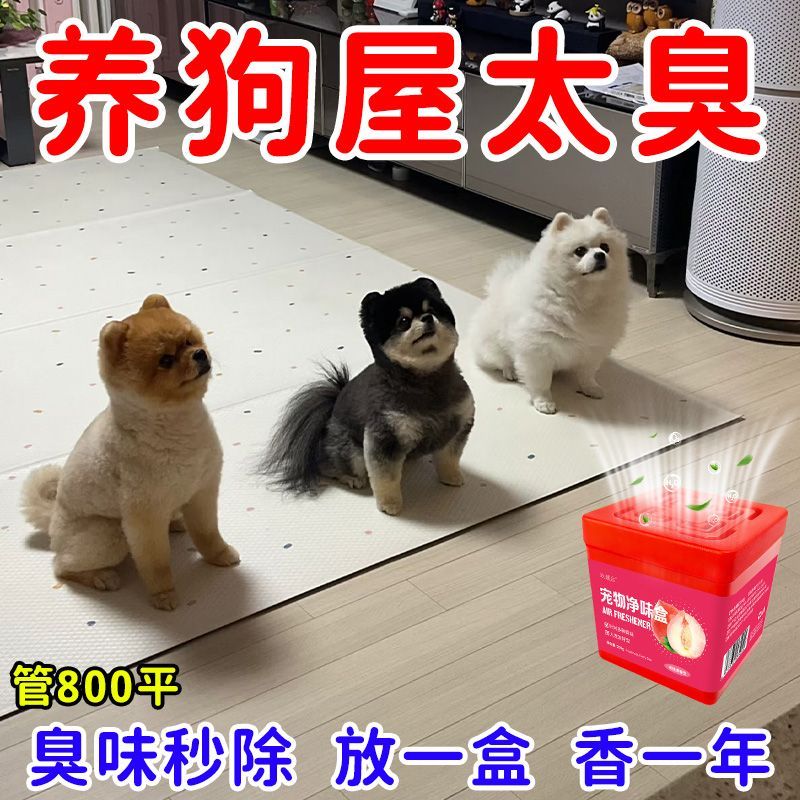 宠物消臭空气除异味除臭室内卧室猫咪砂狗盆除臭家用清新空气净化