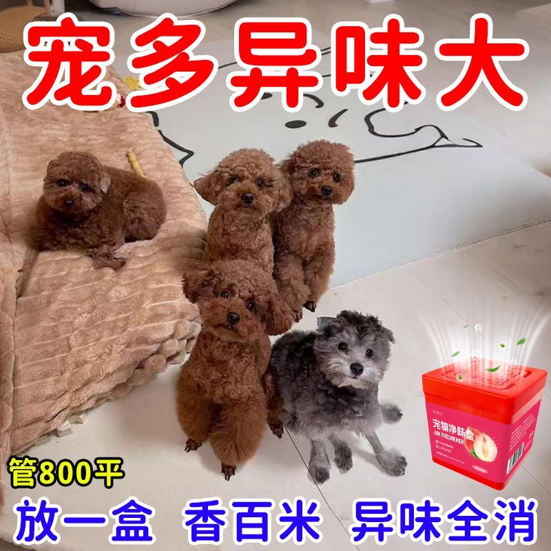 天然除臭宠物除味魔盒除臭室内去味狗猫去尿骚味宠物异味用品