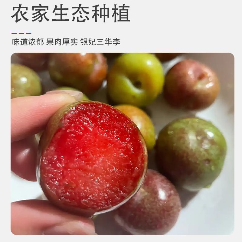 (爆款)新鲜现摘正宗三华李孕妇红心三华李当季水果特大果酸脆 图片 6
