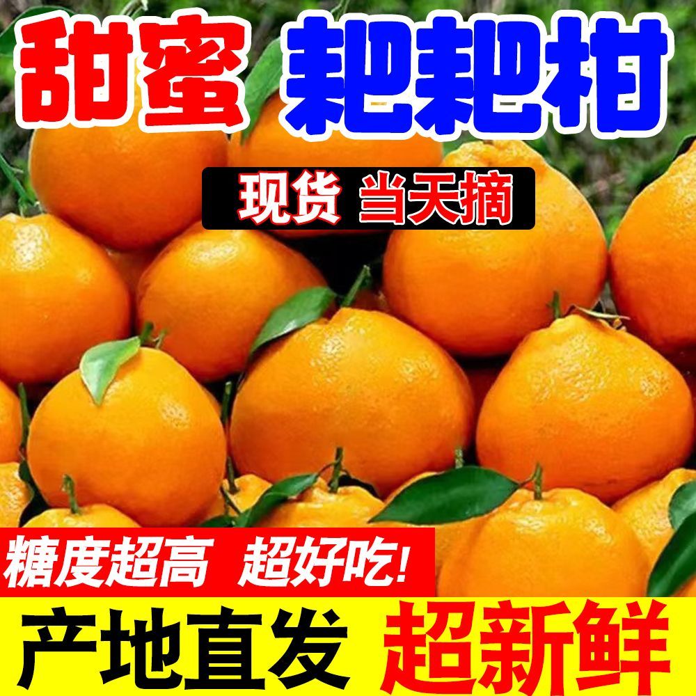 【爆甜好吃】正宗四川耙耙柑当季新鲜水果爆甜春见粑粑柑薄皮橘子