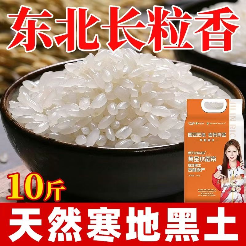 上榜大米】吉林正宗新东北大米长粒香5KG/10斤真空包装