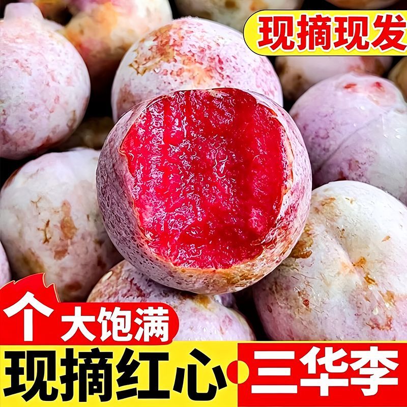 爆款新鲜现摘正宗三华李孕妇红心三华李当季水果特大果酸脆