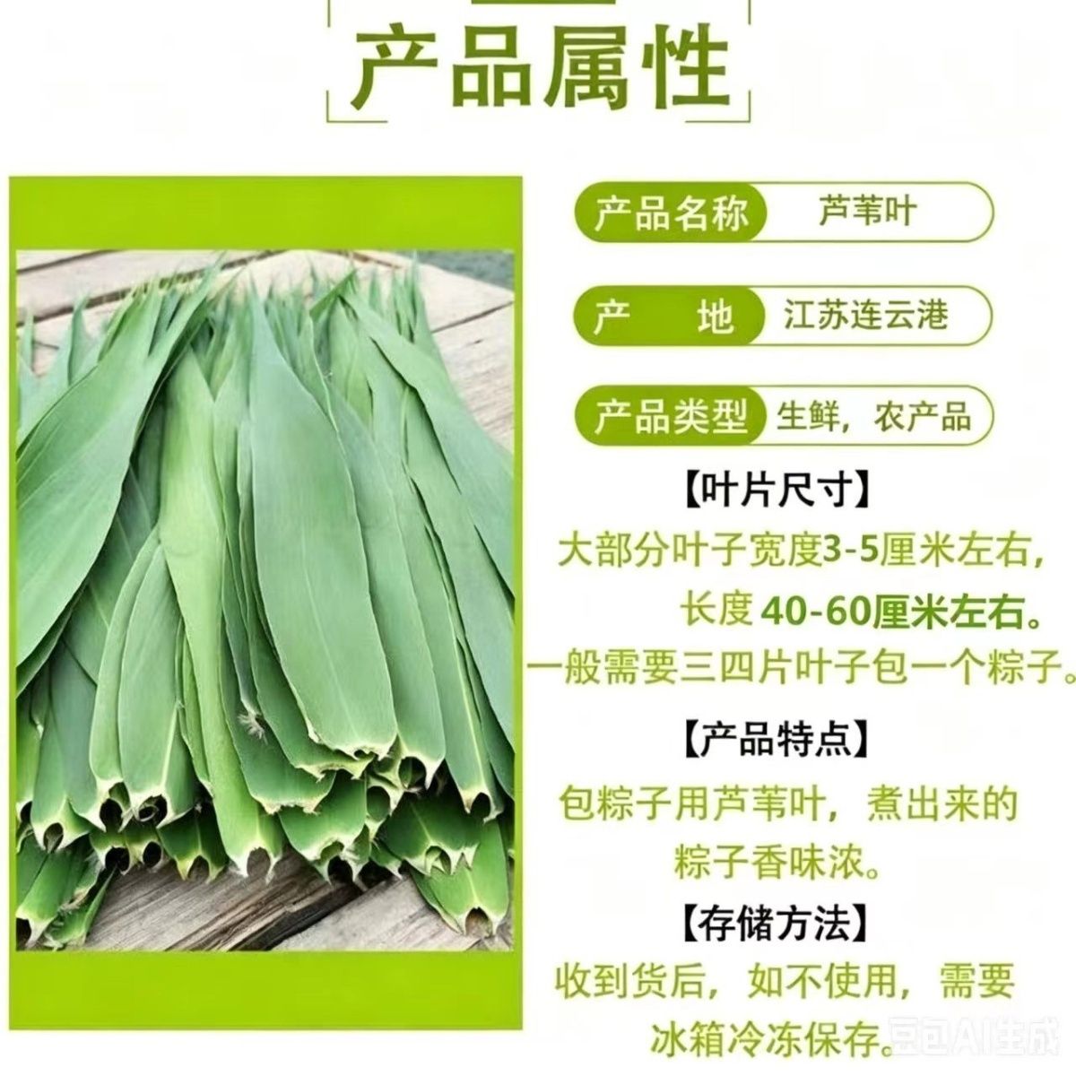 正宗新鲜芦苇叶 端午节包粽子 野生精品大粽叶 图片 7