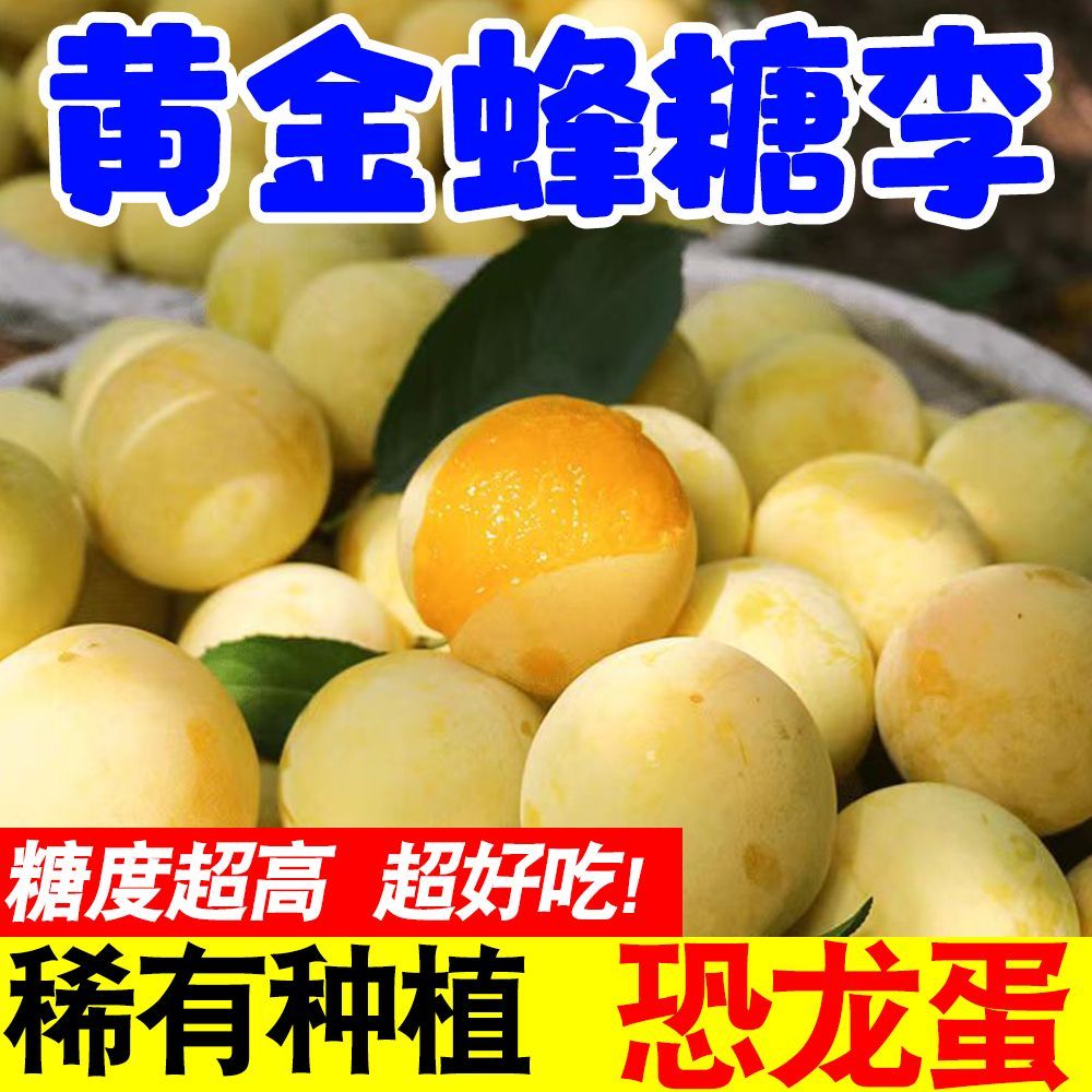 正宗稀有黄金蜂糖李子当季新鲜空心脱骨李水果四川甜脆李子贵州