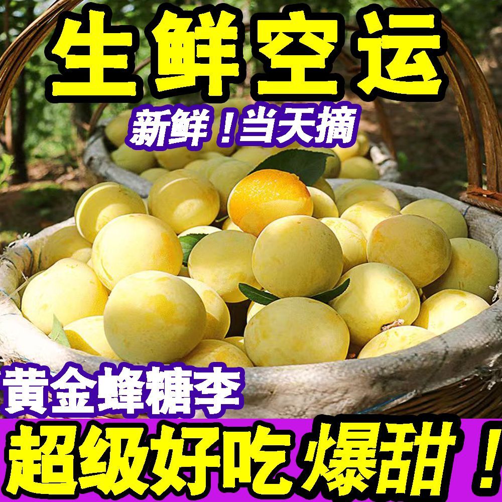 正宗贵州黄金蜂糖李当季新鲜水果李子脆甜脱骨李蜂蜜李一整箱批发 图片 4